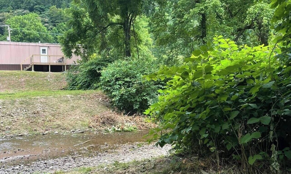 Dorton House | 2 Bedroom Creekside Getaway Near the Hillbilly Trail System