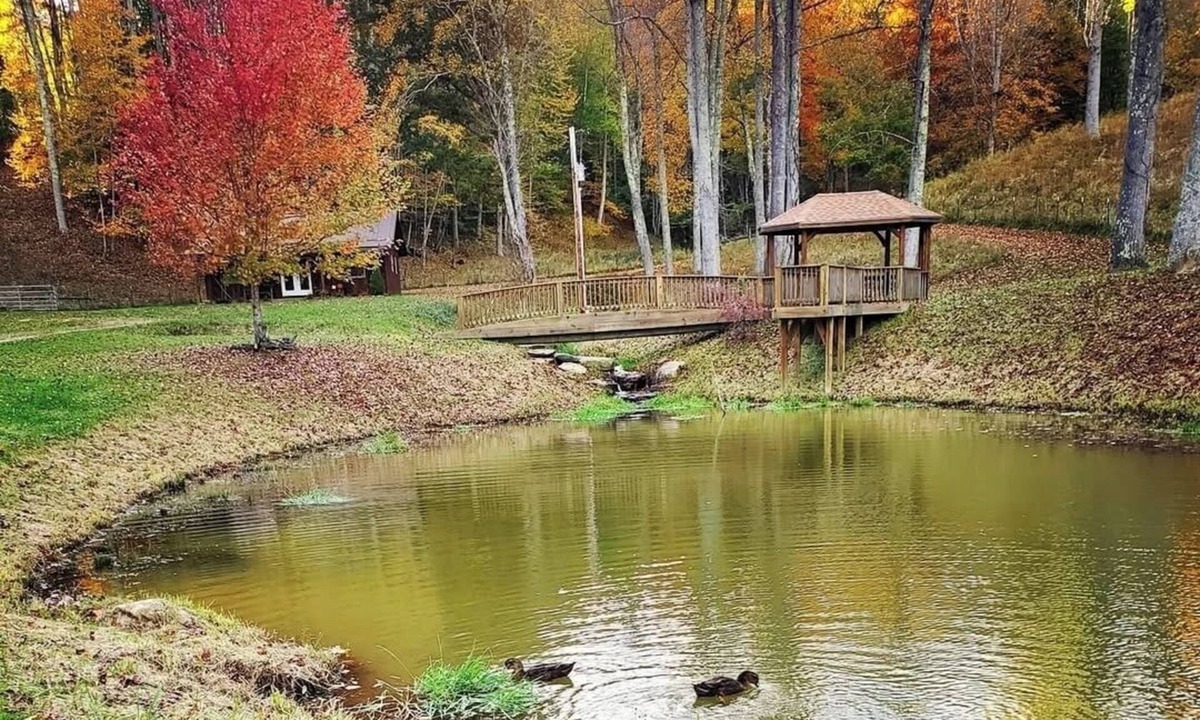 Frank Cabin | Cabin Near Still Waters