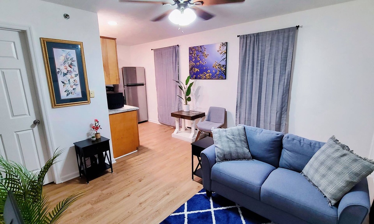 Downtown Apartment | Charming 2-bedroom apartment with AC, WiFi in brilliant Lexington