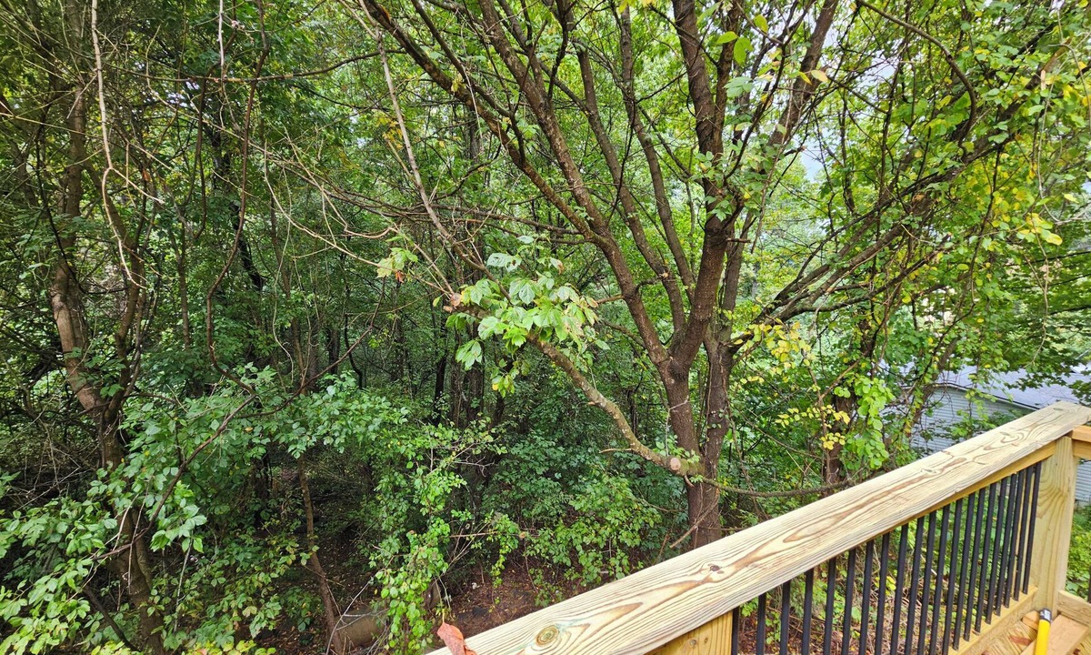 Swannanoa Cottage | Charming 2-BR Cottage 12 minutes from Biltmore House/Asheville or Black Mtn.n