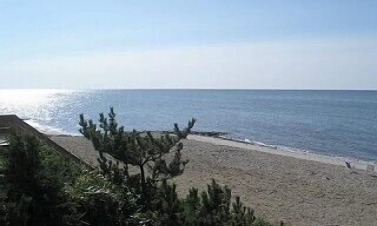 Northwest Harwich House | Dog Friendly Great July/August Weeks Open 2 Minute Walk To Beach Full A/C
