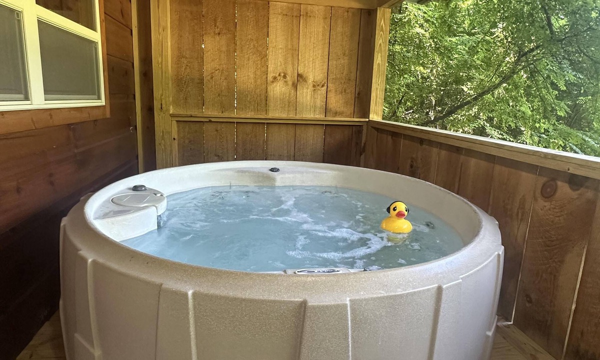 Candler Cabin | Dreamin Hollow: Your Peaceful Asheville Hideaway