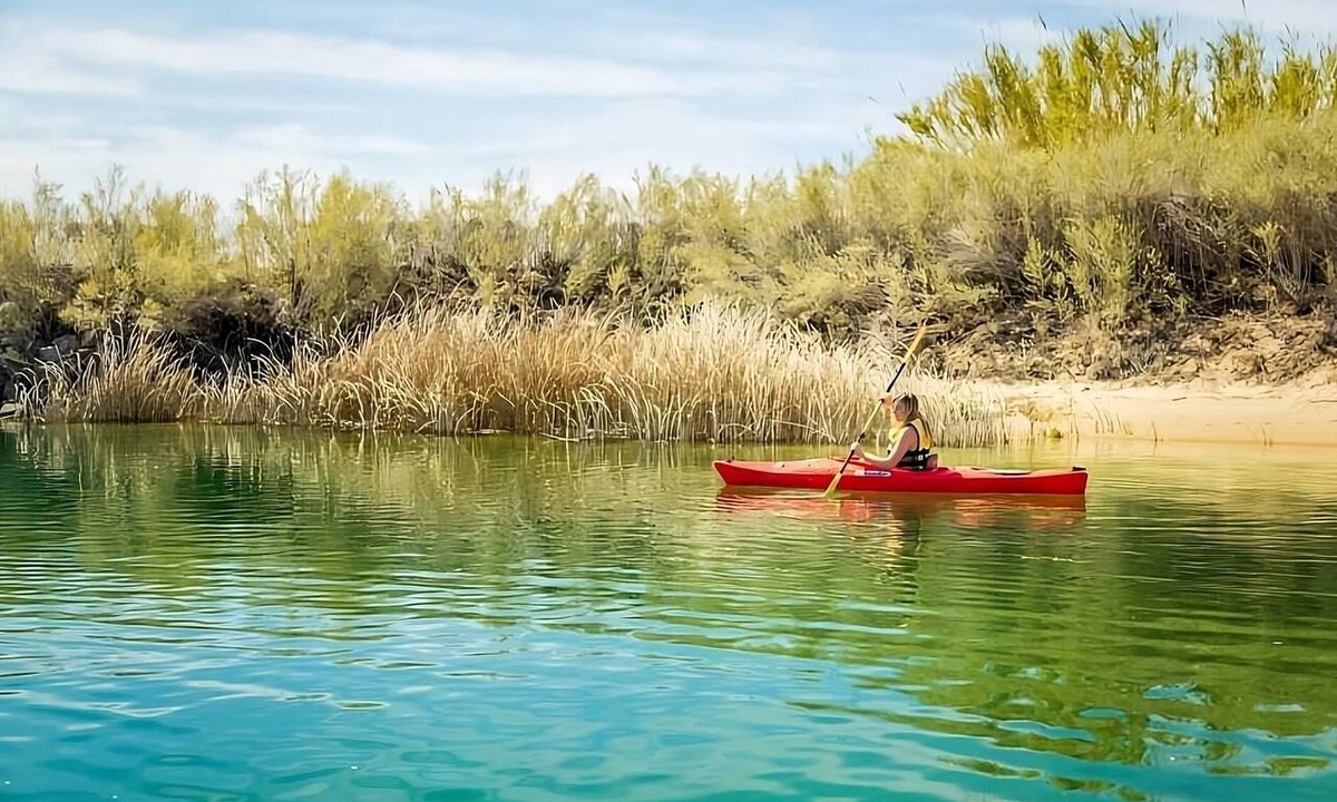 Laughlin Hotel | Edgewater Casino Resort, Sedona Queen Non Smoking, Free Onsite Parking