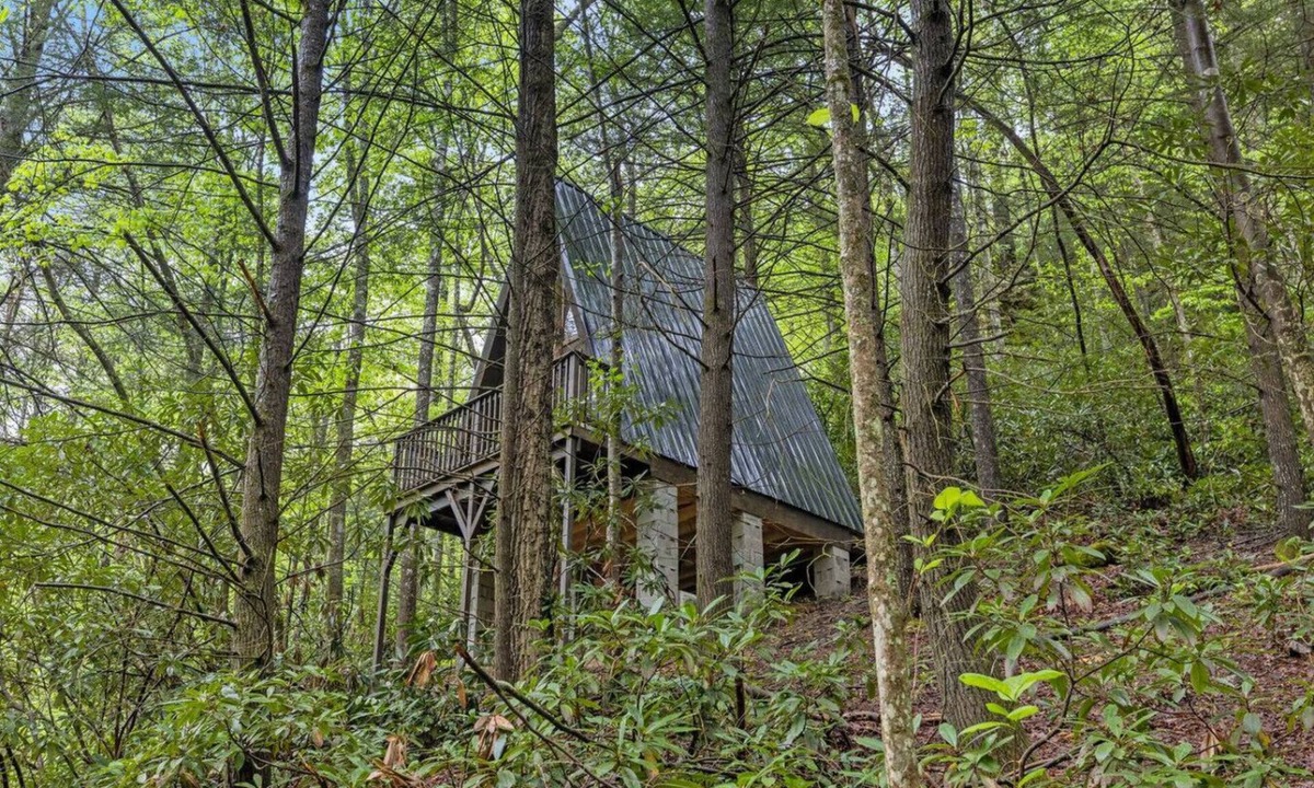 Pine Ridge Cabin | Fern Grove - Camping Cabin Retreat in RRG KY!