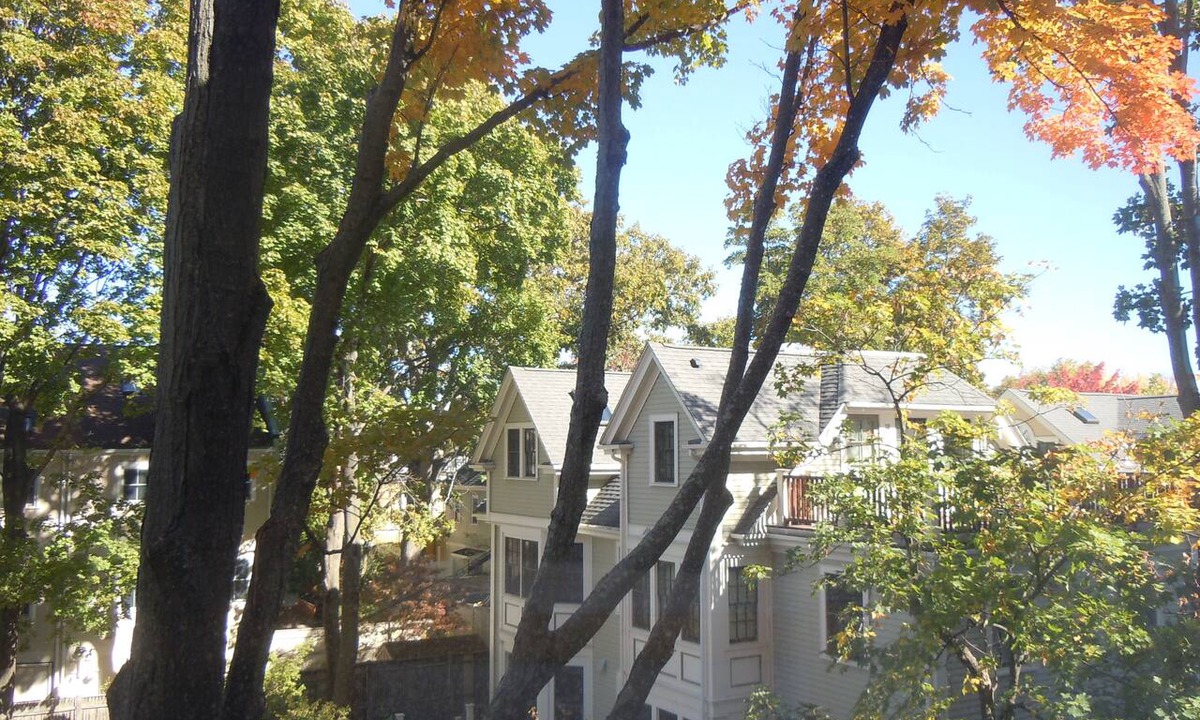 Mid-Cambridge Apartment | Harvard Square!