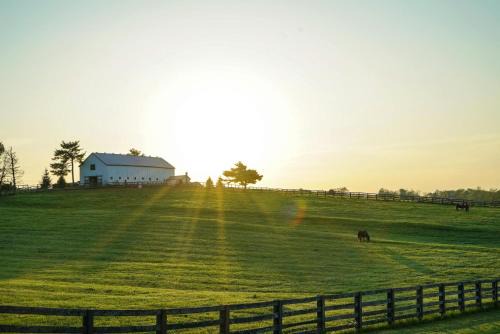 Farmers Hotel | Holiday Inn Express & Suites Morehead by IHG