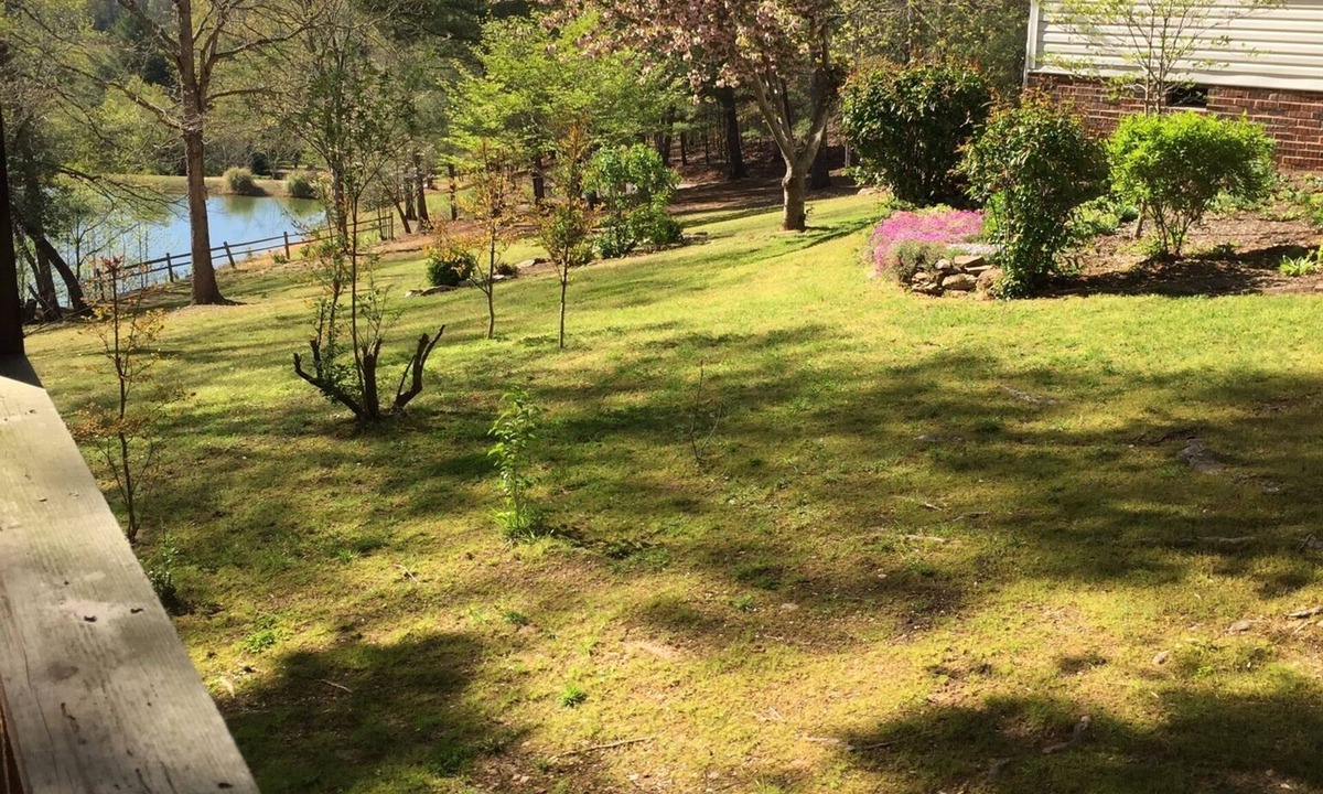 Morganton House | LAKE JAMES/Morganton: Peaceful, nature setting-3 acres/pond!
