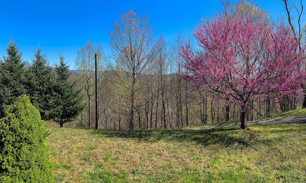 Lansing Cabin | LOW SPRING RATES! Hot Tub, Long Range Views, Fire Pit & Wi-Fi