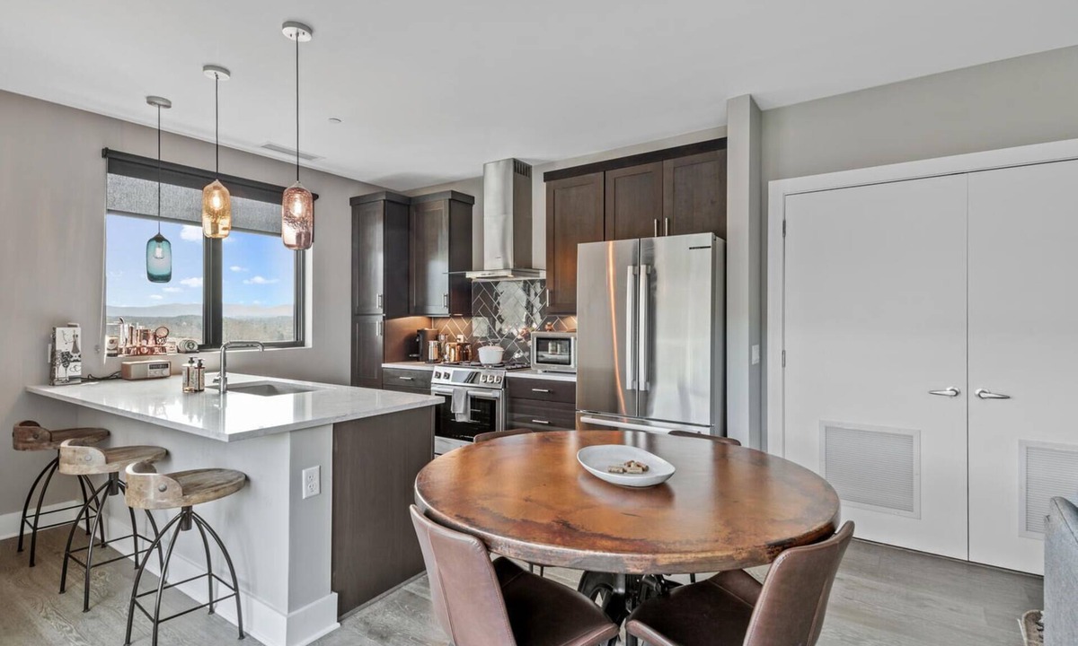 Downtown Asheville Condo | Luxury Downtown Condo with Views!