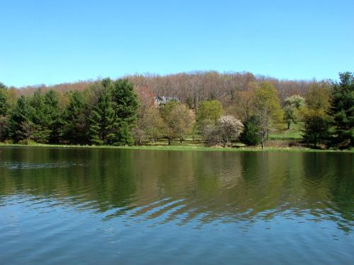 North Glade Hills House | Meadow Lake View