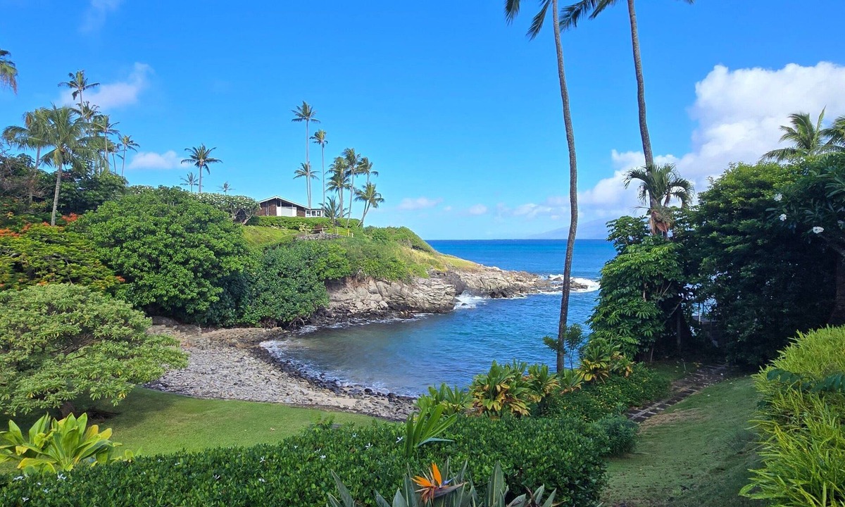 Kahana Cottage | New Listing: Alaeloa #17 - Luxury Oceanfront Getaway! 3bd/2ba