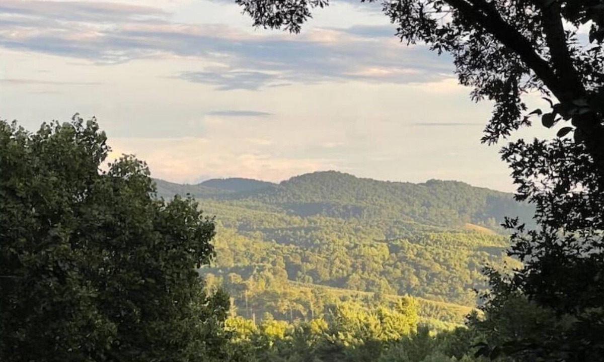 Fleetwood Cabin | NEW LISTING! Beautiful Cabin with Mountain View in Fleetwood Falls