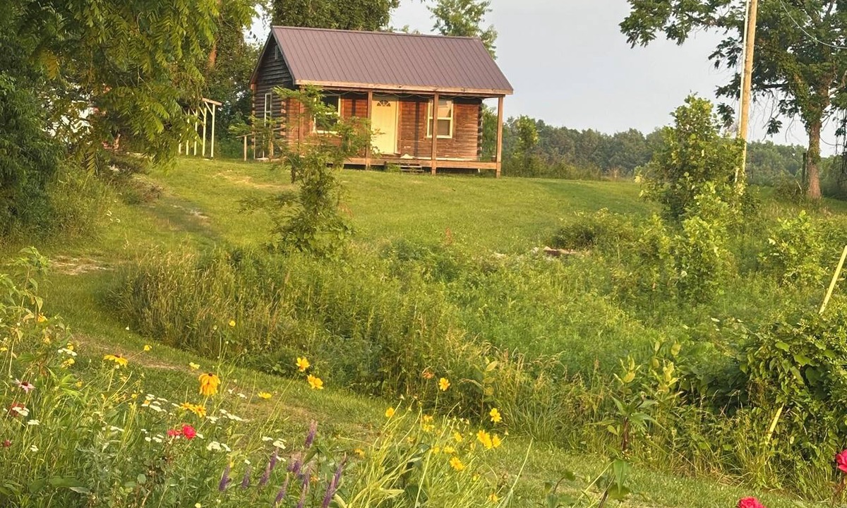 Frenchburg Cabin | Picturesque couples retreat near Red River Gorge, perfect for hiking, kayaking!