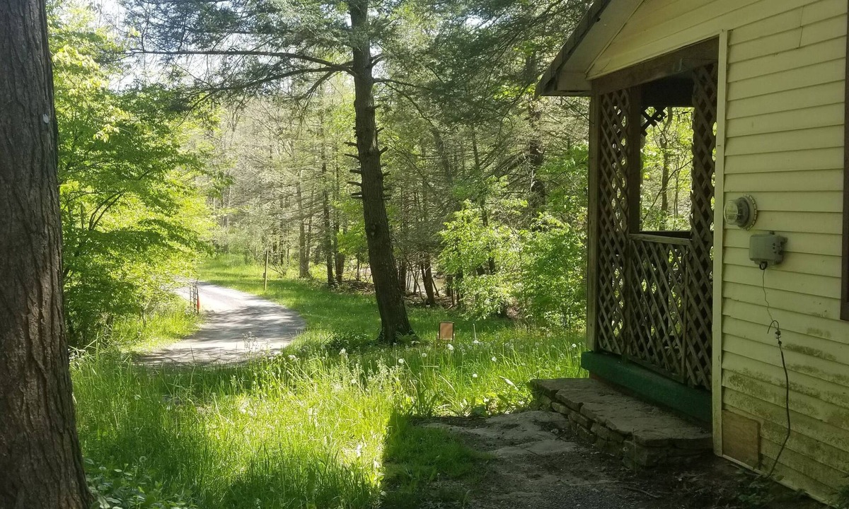 Elk Garden Cabin | Private Cottage With View of Beautiful Abrams Creek
