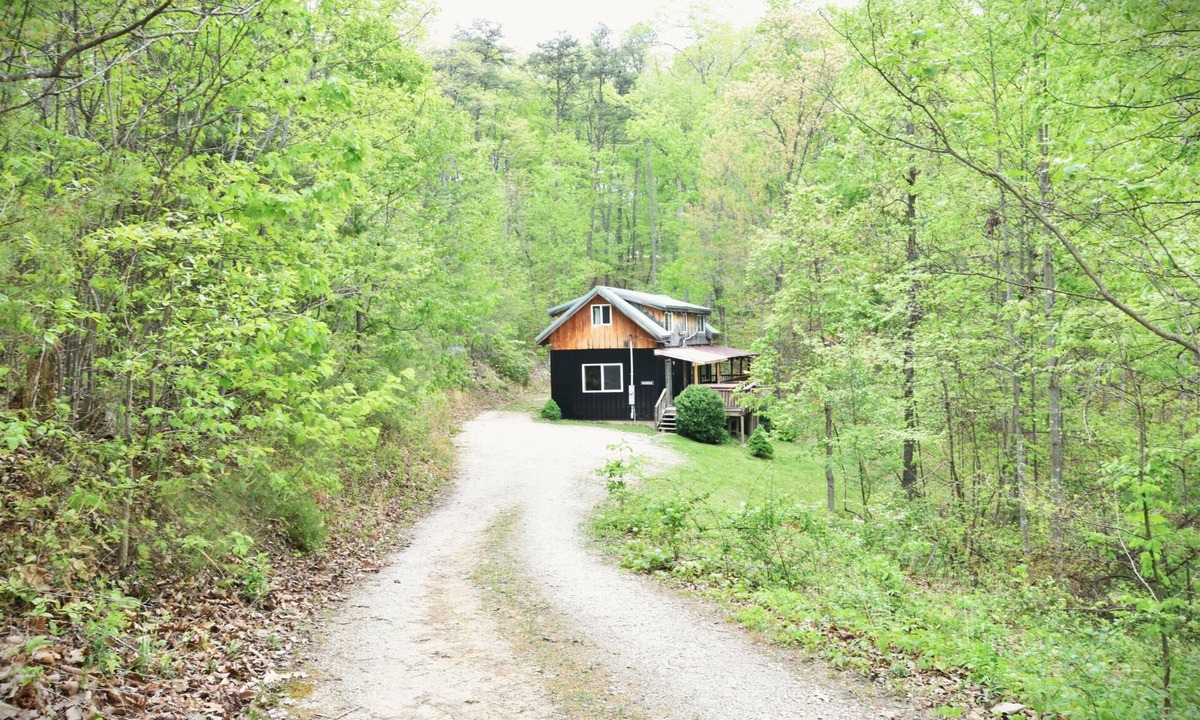 Stanton Cabin | Private Forest Getaway: 3-BR w/Hot Tub