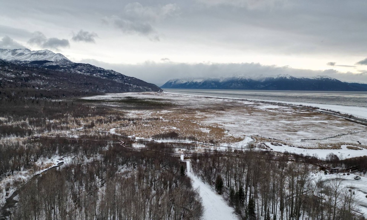 Rabbit Creek House | Remodeled home, 3 min walk to wildlife sanctuary Potters Marsh.