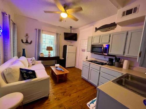 Galveston Apartment | Salty Shark Q1