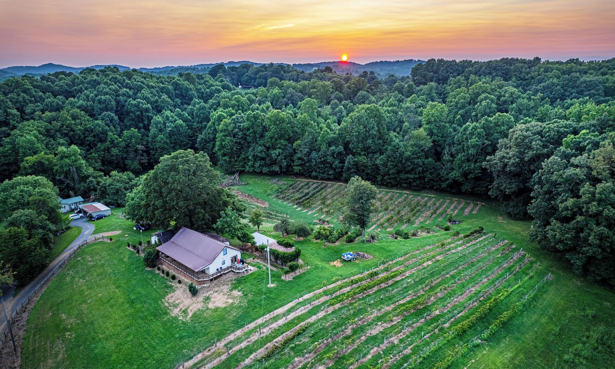Jonesborough House | Spring Vibes, Fast Wifi, Pool Table, Working Vineyard with Disc Golf course