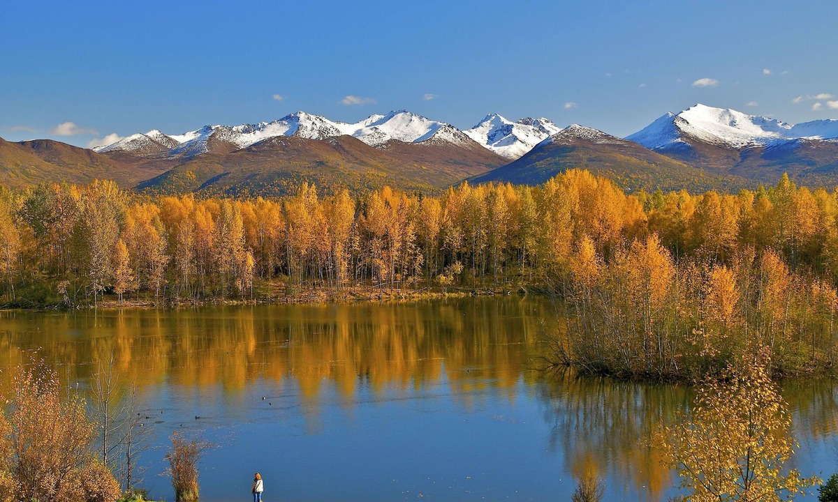 University Area Hotel | SpringHill Suites Anchorage University Lake