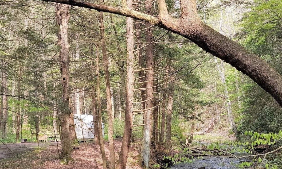 Swanton RV Rental | Tentrr State Park Site - Big Run State Park - Site F
