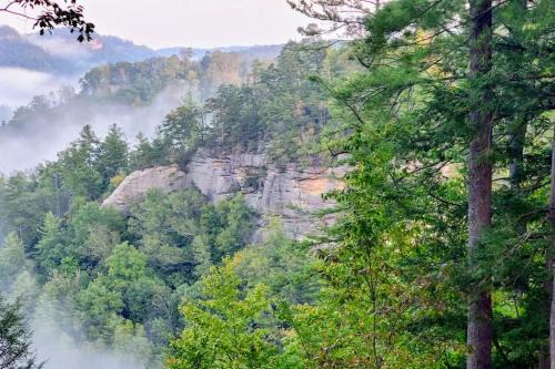 Rogers House | Terrapin Station - Valley View Hot Tub Game Room
