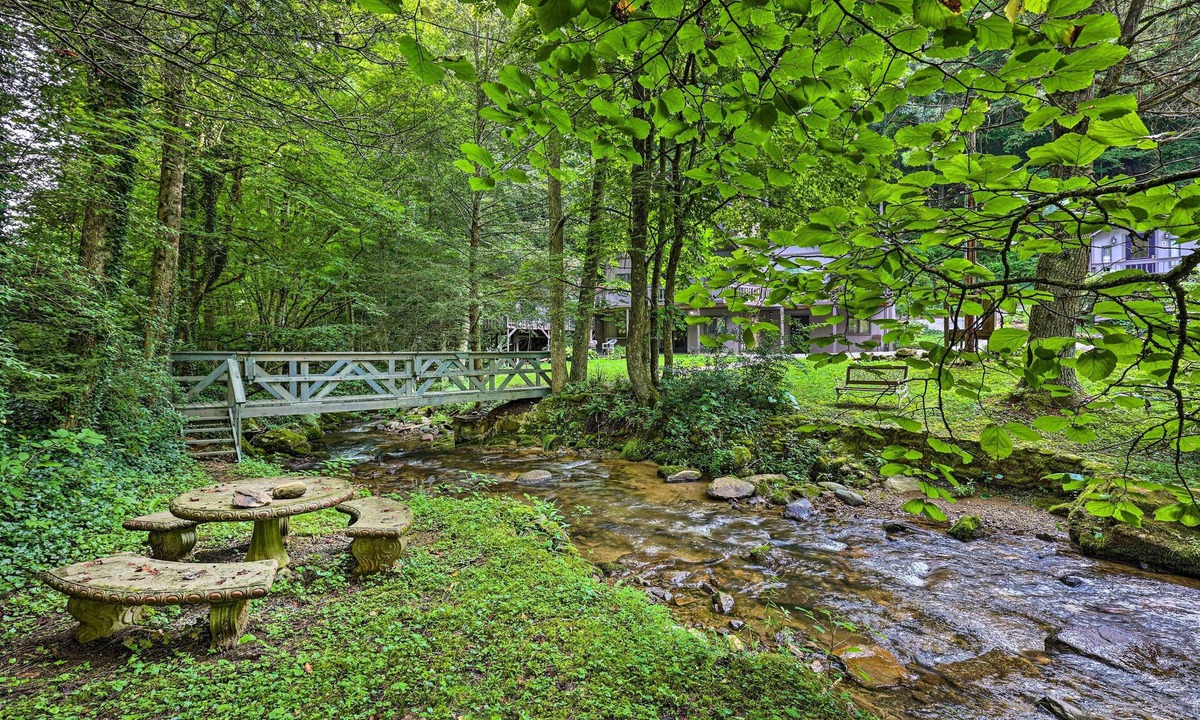 Roan Mountain Cabin | ‘The Chalet Retreat’ Outdoor Getaway Across Creek!