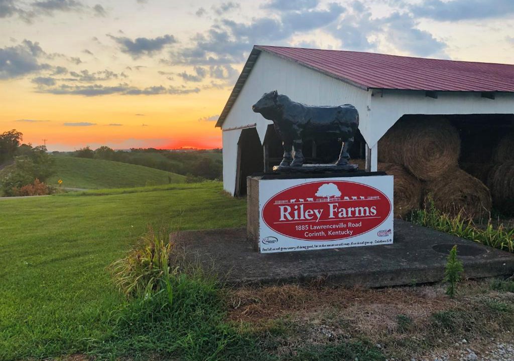 Jonesville House | The Lodge @ Riley Farms, Comfort & Rest close to The Ark