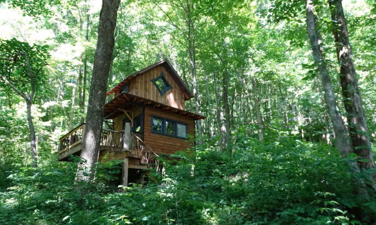 Barnardsville Cabin | Woodland Chalet/Peaceful Forest Retreat