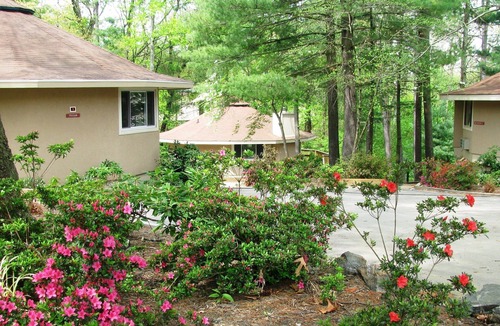 Asheville Villa | 1 Bedroom Vacation Villa