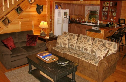 Maggie Valley Cabin | 6 Secluded Acres/Hot Tub/Fire Pit/Wood Fireplace/Pool Table/Hammock/Pets OK