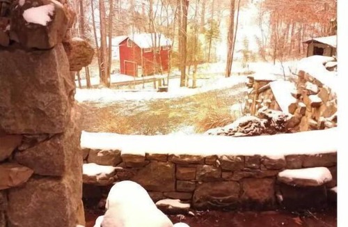 Barnardsville Apartment | An Understory Sanctuary