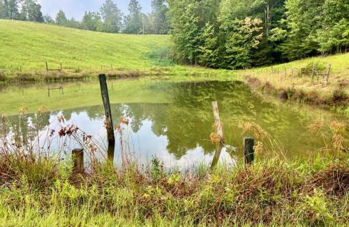 Campton House | Antler Ridge Retreat - Secluded Hot Tub Cabin - Pond and Game Room
