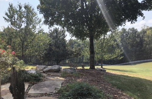 Jonesborough Apartment | Artist Retreat with beautiful views to photograph or paint or just to relax.