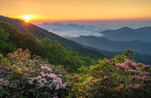 Ridgecrest House | Asheville Black Mountain Escape