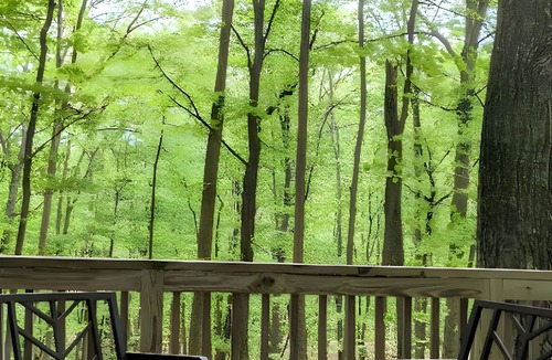 Berkeley Springs House | Autumn Wings - A Natural Retreat