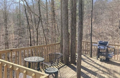 Slade Cabin | Away From It All! Pet Friendly