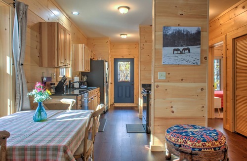 Skyland House | Baby Bear Cabin on Bearwallow Mountain | Hot Tub, Fire Pit, EV Charger