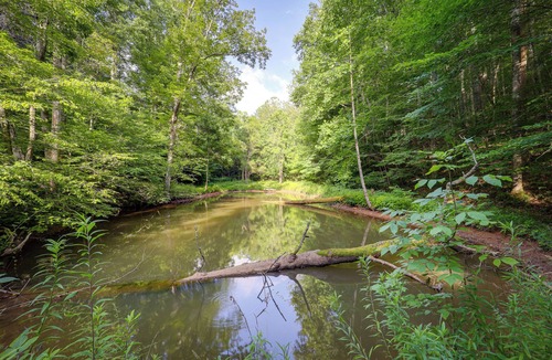 Bakersville Cottage | Bakersville Sanctuary w/Stunning Scenery, Hot Tub