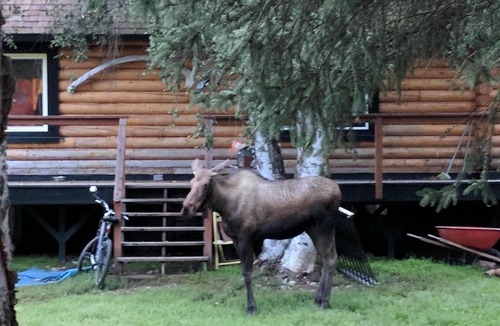 Soldotna House | Beautiful log home Kenai River has full length deck overlooking river