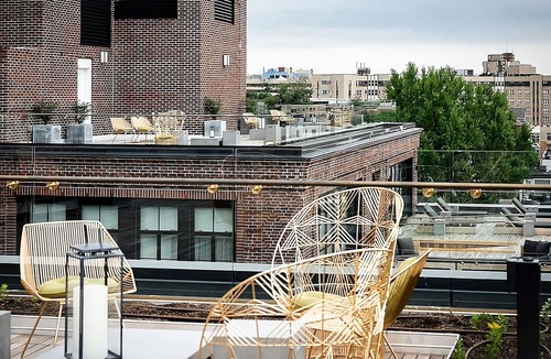 Adams Morgan Hotel | Best Value, Quality Stay! Rooftop Terrace with Iconic Views of DC!