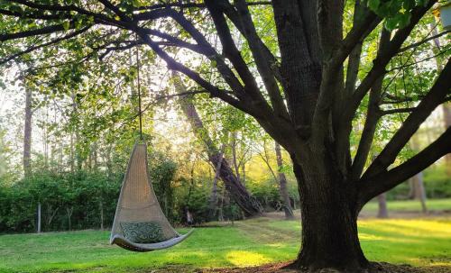 Stanton House | Bhie Lovely Hideaway - RRG - Peaceful - Cozy Stay Stanton location just steps from Kroger and a short 15-minute drive to Natural Bridge Ideal home base for hikers climbers