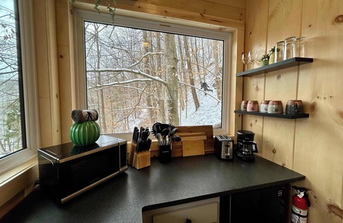 Slade Cabin | Bigfoot's Bluff | Hot Tub| Forest Canopy Cabin RRG | Located 5 Min From Nada Tunnel!