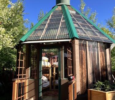 College Hostel | Billie's Backpackers Hostel