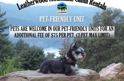 Ferguson House | Black Bear Lodge