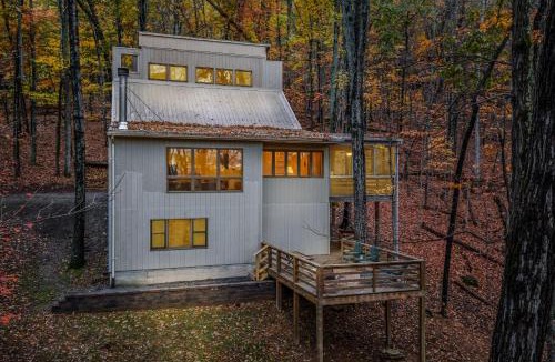 Berkeley Springs Ski Chalet | Black Forest - Wifi, Pet Friendly, Grill, Deck, Screen Porch, Family Friendly, Fireplace, Pool Access, Hiking