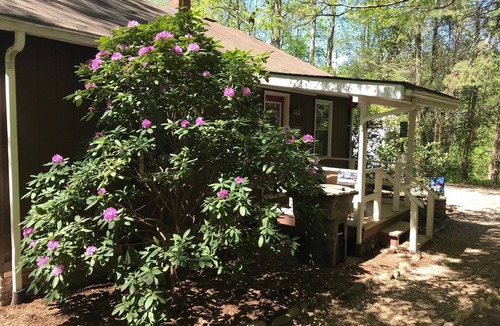 Black Mountain Cabin | Black Mtn.Hideaway: Romantic Mtn.Views, Hot Tub, & Pet Friendly!