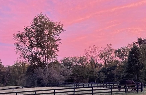 Middleburg Other | Bring your horses, leave your stress….
