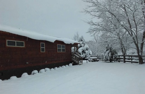 Tryon Cabin | CABIN #2 Cozy 1-bedroom cabin in beautiful Tryon NC 3 miles to TIEC!