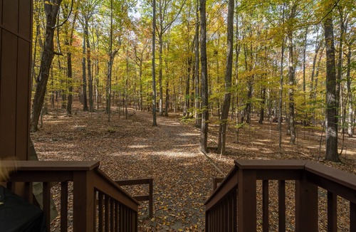 Berkeley Springs Cabin | Cabin Getaway: Hot Tub☆Location☆Berkeley Springs☆