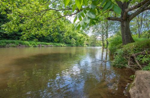 Lansing House | Cabin on the New River with Easy Steps to the River,Hot Tub, Fire Pit